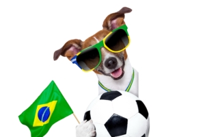 fifa world cup brazil 2014 dog ball 4k 1540062989 300x200 - fifa world cup, brazil, 2014, dog, ball 4k - fifa world cup, Brazil, 2014