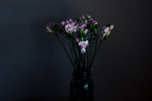 flowers vase dark bouquet 4k 1540575749 300x200 - flowers, vase, dark, bouquet 4k - Vase, Flowers, Dark