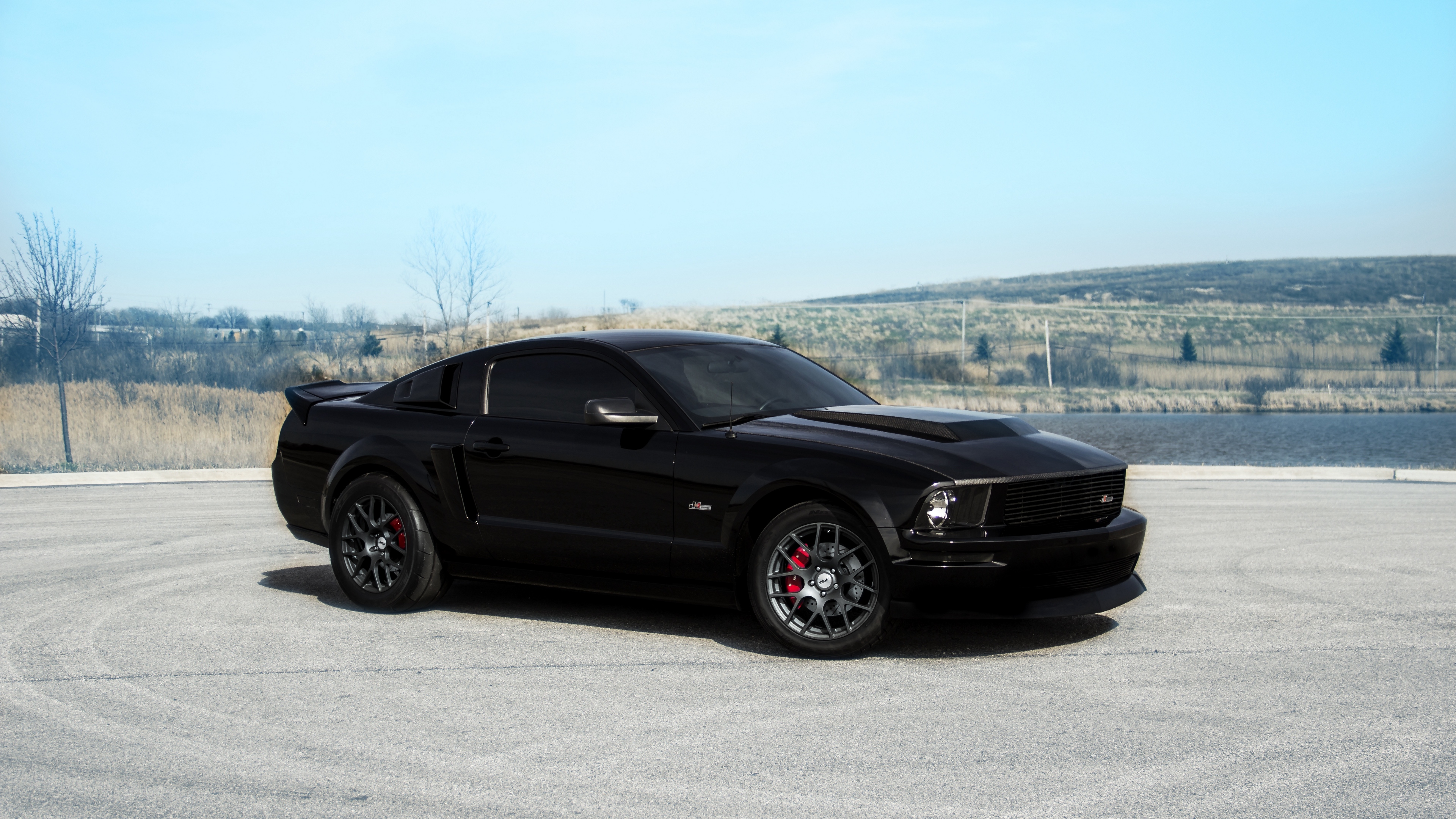 HD wallpaper Ford Ford Mustang Black Car Muscle Car Vehicle  Wallpaper  Flare