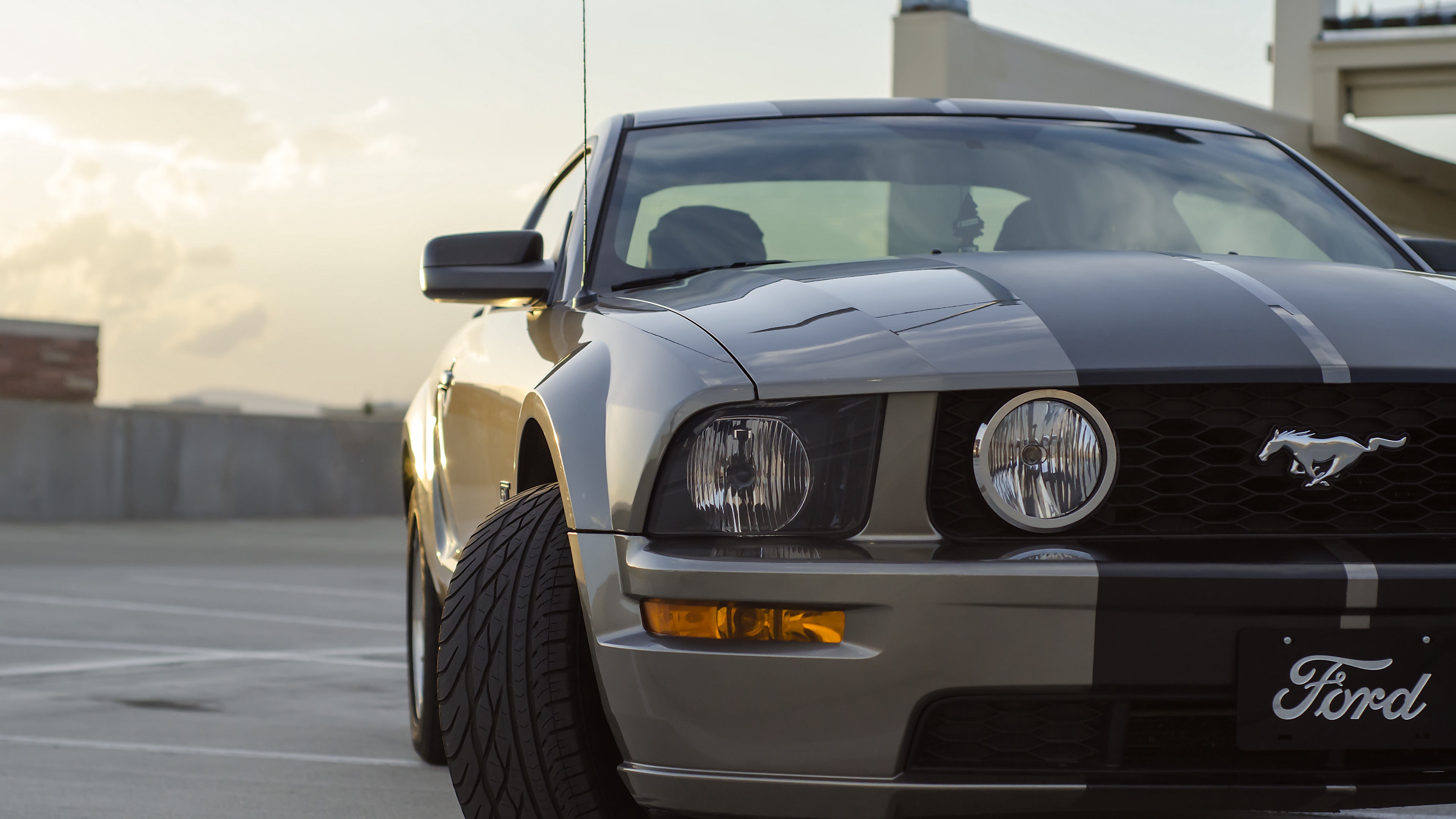 Mustang amoled black car dark light muscle power vehicles HD phone  wallpaper  Peakpx