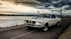 ford mustang gt350 4k 1539110566 272x150 - Ford Mustang GT350 4k - hd-wallpapers, ford wallpapers, ford mustang wallpapers, cars wallpapers, 4k-wallpapers