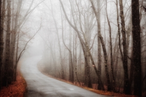 forest road fog autumn turn 4k 1540145432 300x200 - forest, road, fog, autumn, turn 4k - Road, Forest, fog