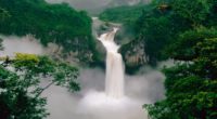 green forest waterfall 4k 1540131559 200x110 - Green Forest Waterfall 4k - waterfall wallpapers, nature wallpapers, green wallpapers, forest wallpapers