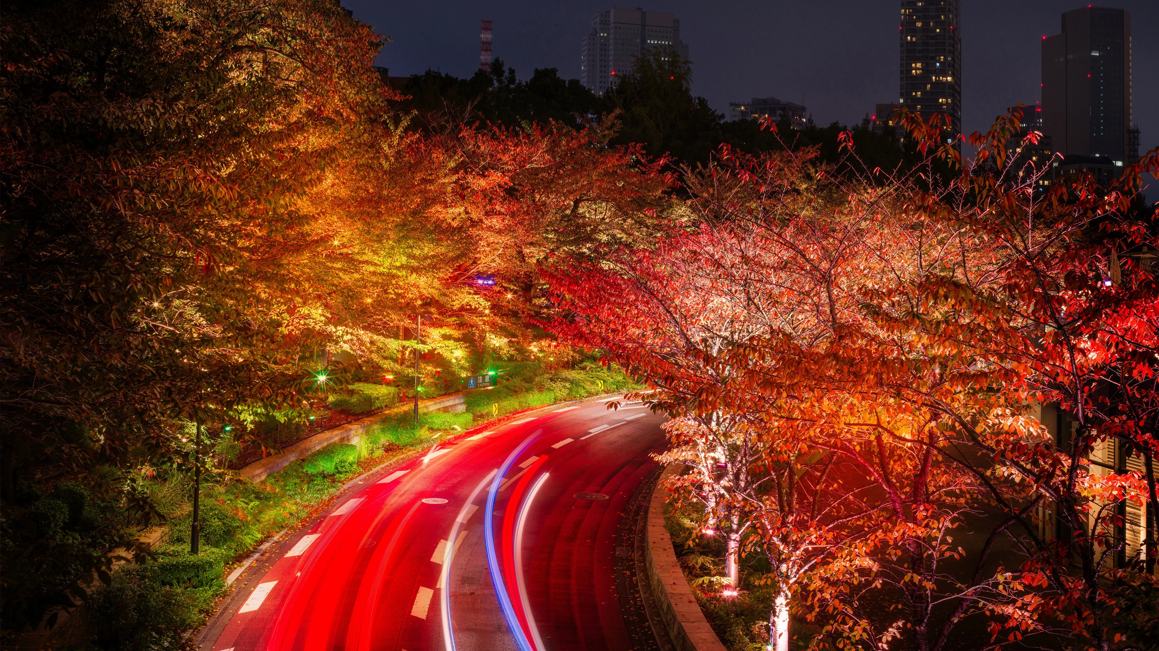 japan tokyo roads autumn trees night 4k 1540135740 - Japan Tokyo Roads Autumn Trees Night 4k - trees wallpapers, tokyo wallpapers, road wallpapers, night wallpapers, nature wallpapers, japan wallpapers, hd-wallpapers, autumn wallpapers, 5k wallpapers, 4k-wallpapers