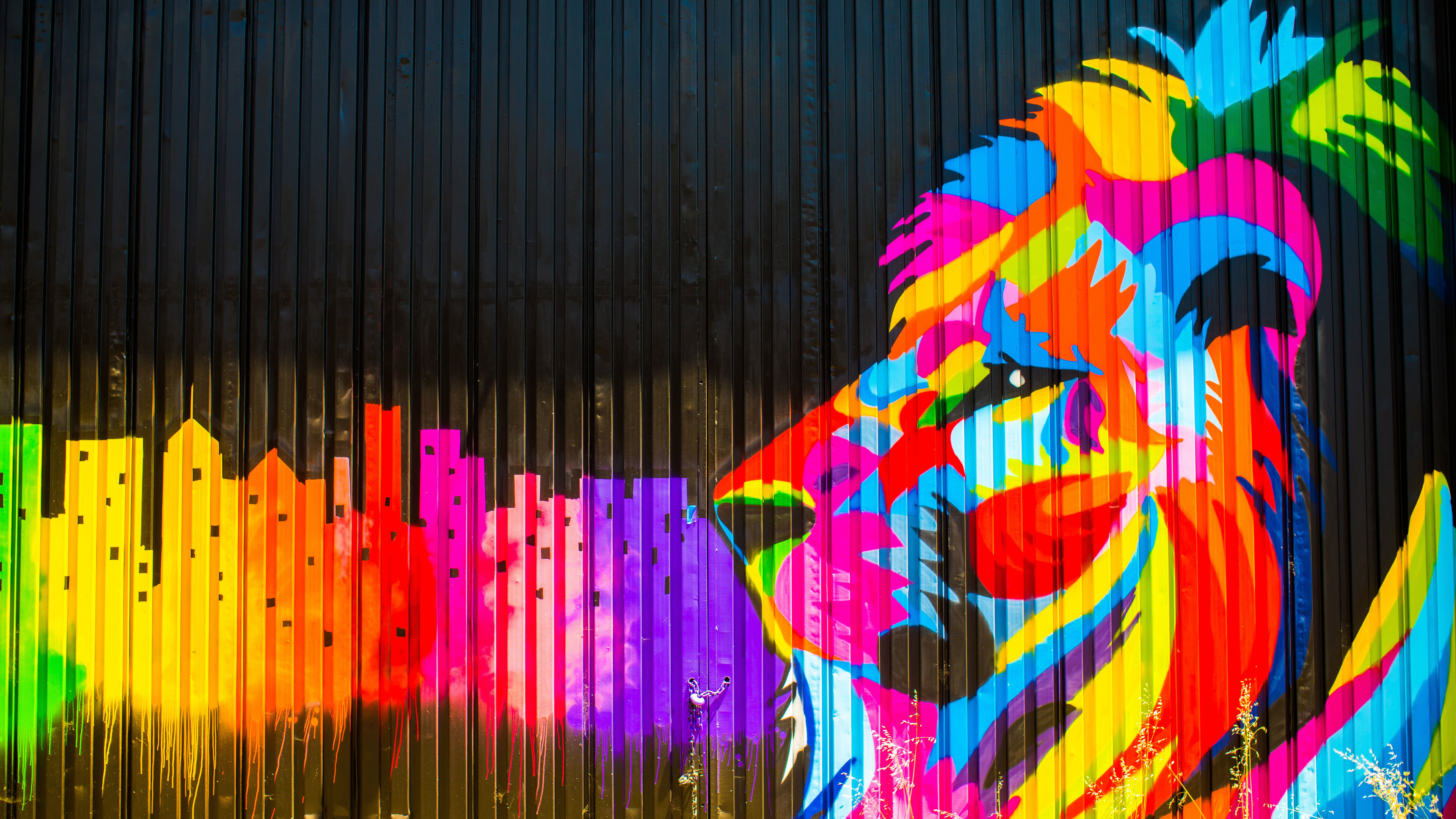 Wallpaper 4k Lion Graffiti 4k 4k Wallpapers 5k Wallpapers Artist Wallpapers Artwork Wallpapers Digital Art Wallpapers Graffiti Wallpapers Hd Wallpapers Lion Wallpapers