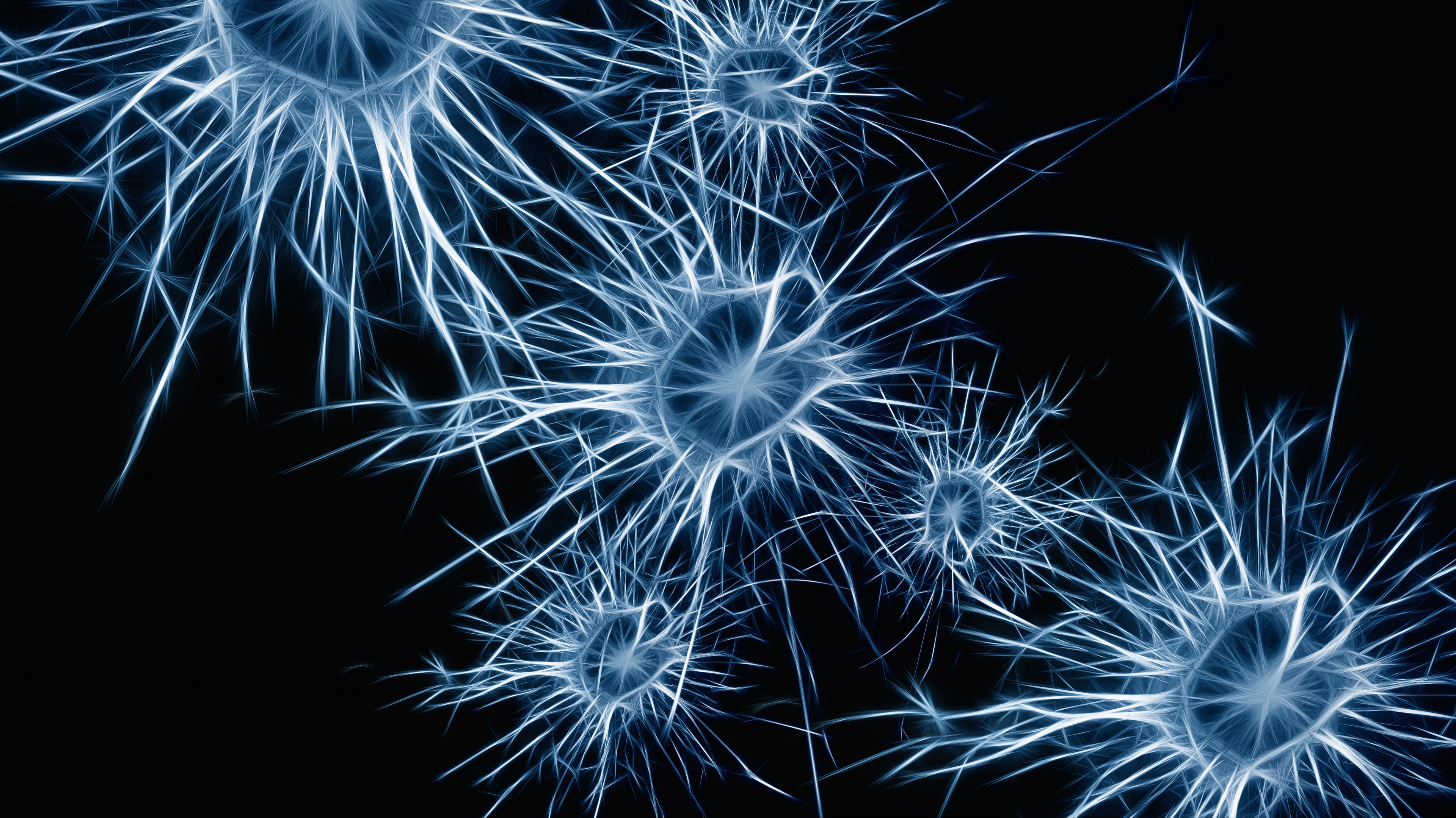 neurons cell structure 4k 1539369634 - neurons, cell, structure 4k - Structure, neurons, Cell