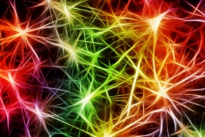 neurons pulse art abstraction colorful 4k 1539369323 300x200 - neurons, pulse, art, abstraction, colorful 4k - pulse, neurons, art