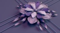 petals abstract 1539370726 200x110 - Petals Abstract - petals wallpapers, abstract wallpapers