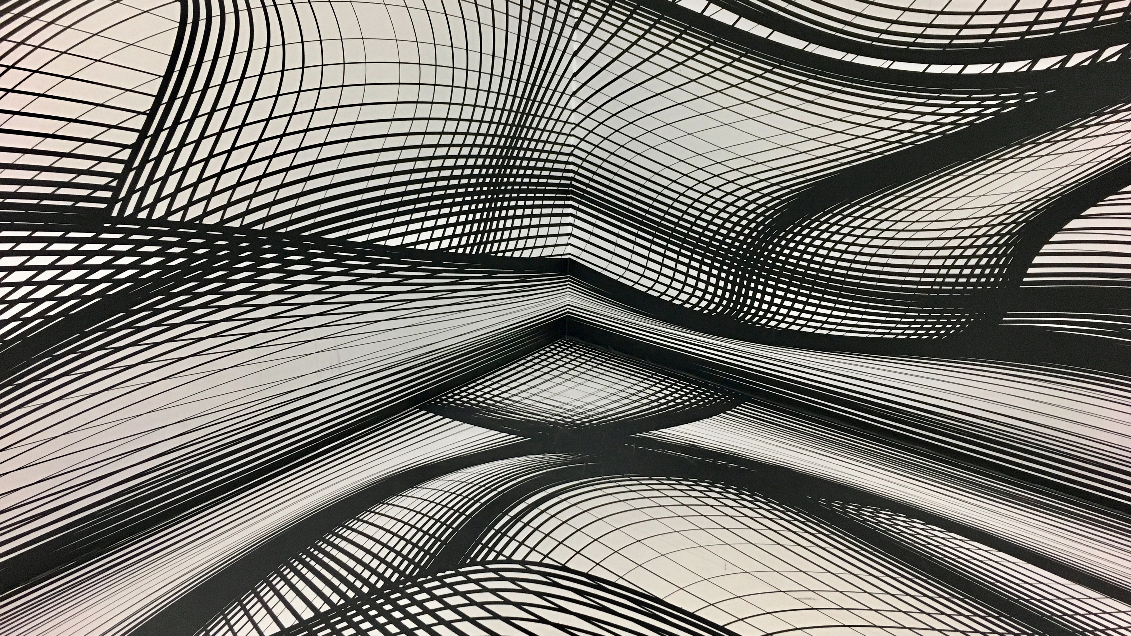 Wallpaper 4k plexus, monochrome, lines, wavy, shapes 4k Wallpaper