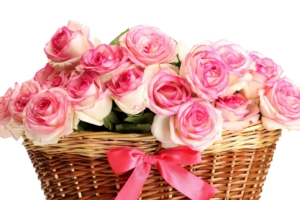 roses bouquets basket pink 4k 1540065259 300x200 - roses, bouquets, basket, pink 4k - Roses, bouquets, Basket