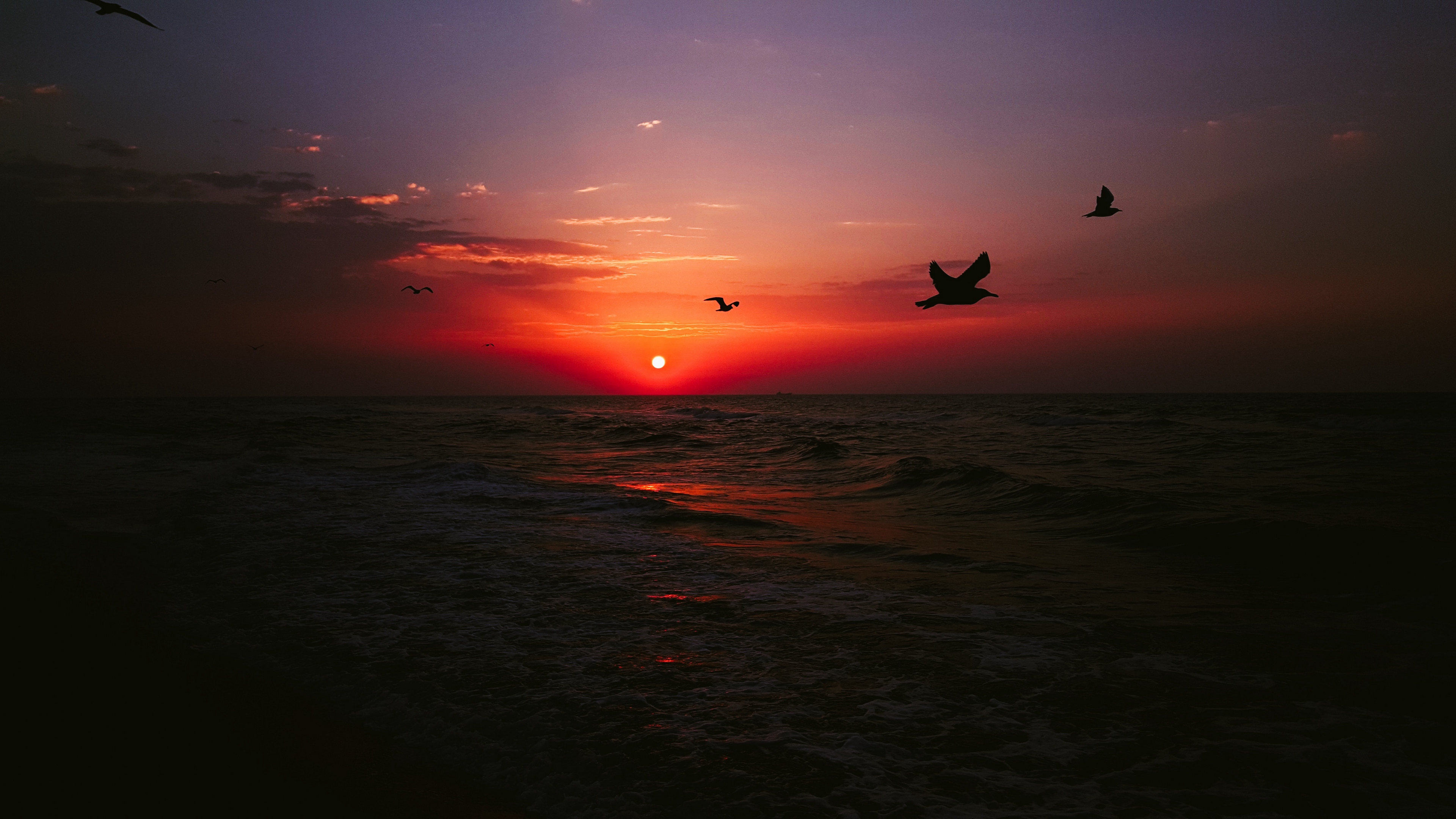 sea sunset birds 4k 1540575324 - sea, sunset, birds 4k - sunset, Sea, Birds