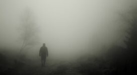 silhouette fog loneliness alone 4k 1540576172 272x150 - silhouette, fog, loneliness, alone 4k - Silhouette, loneliness, fog