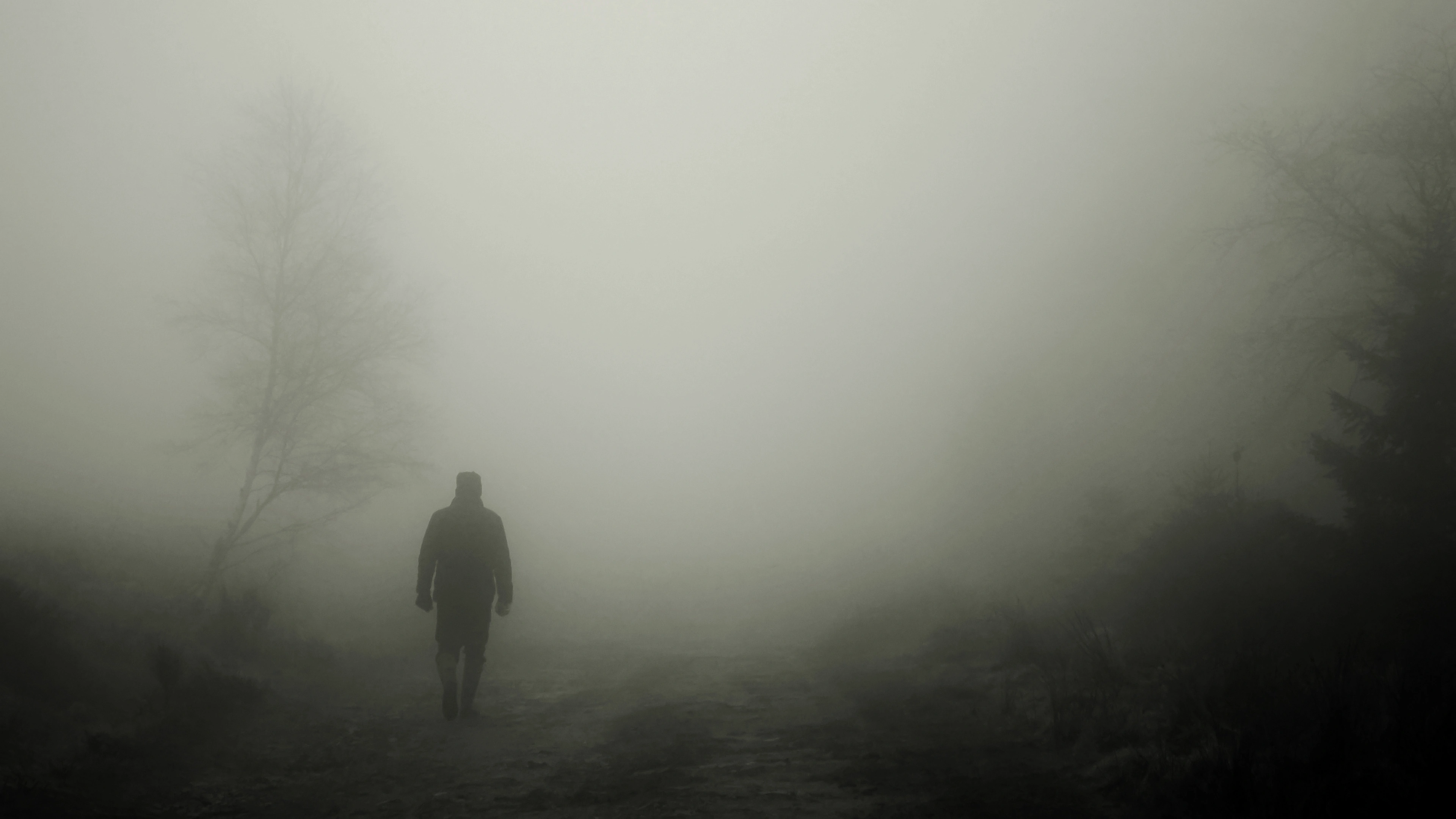 silhouette fog loneliness alone 4k 1540576172 - silhouette, fog, loneliness, alone 4k - Silhouette, loneliness, fog
