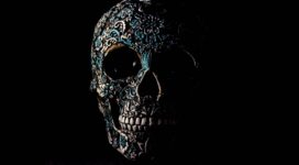 skull dark patterns bones 4k 1540576409 272x150 - skull, dark, patterns, bones 4k - Skull, patterns, Dark