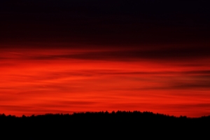 sky red horizon trees 4k 1540575986 300x200 - sky, red, horizon, trees 4k - Sky, red, Horizon