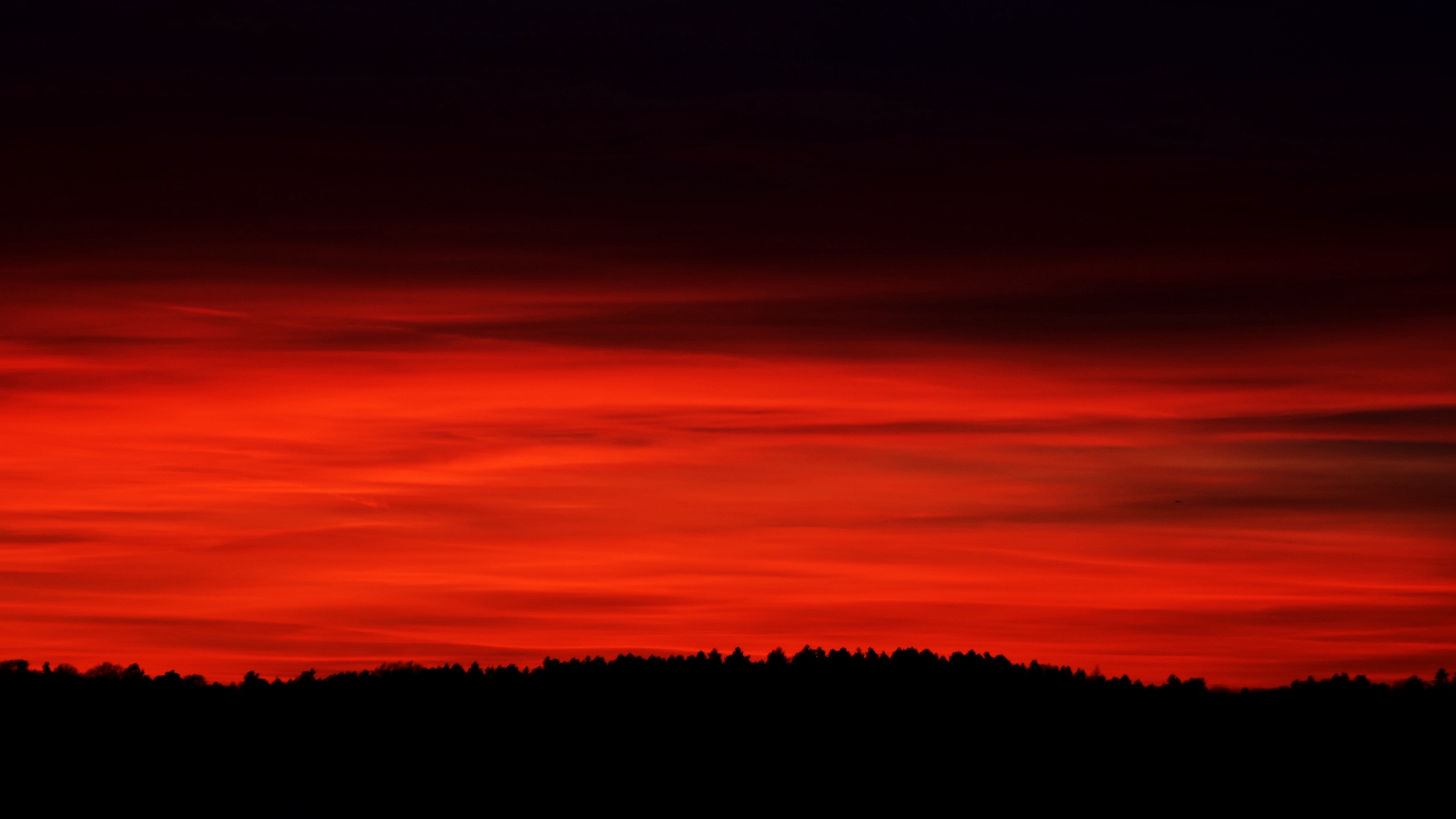 Wallpaper 4k sky, red, horizon, trees 4k Wallpaper