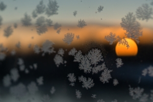snow flakes sun blurred frost winter 4k 1540140135 300x200 - Snow Flakes Sun Blurred Frost Winter 4k - tree wallpapers, snowflakes wallpapers, snow wallpapers, nature wallpapers, hd-wallpapers, 5k wallpapers, 4k-wallpapers