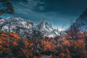 snowy mountains trees landscape 4k 1540142456 300x200 - Snowy Mountains Trees Landscape 4k - trees wallpapers, snow wallpapers, nature wallpapers, mountains wallpapers, landscape wallpapers, hd-wallpapers, 5k wallpapers, 4k-wallpapers