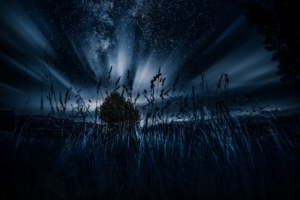 starry sky tree grass night 4k 1540575590 300x200 - starry sky, tree, grass, night 4k - tree, starry sky, Grass