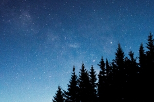 starry sky trees fir night 4k 1540575328 300x200 - starry sky, trees, fir, night 4k - Trees, starry sky, fir