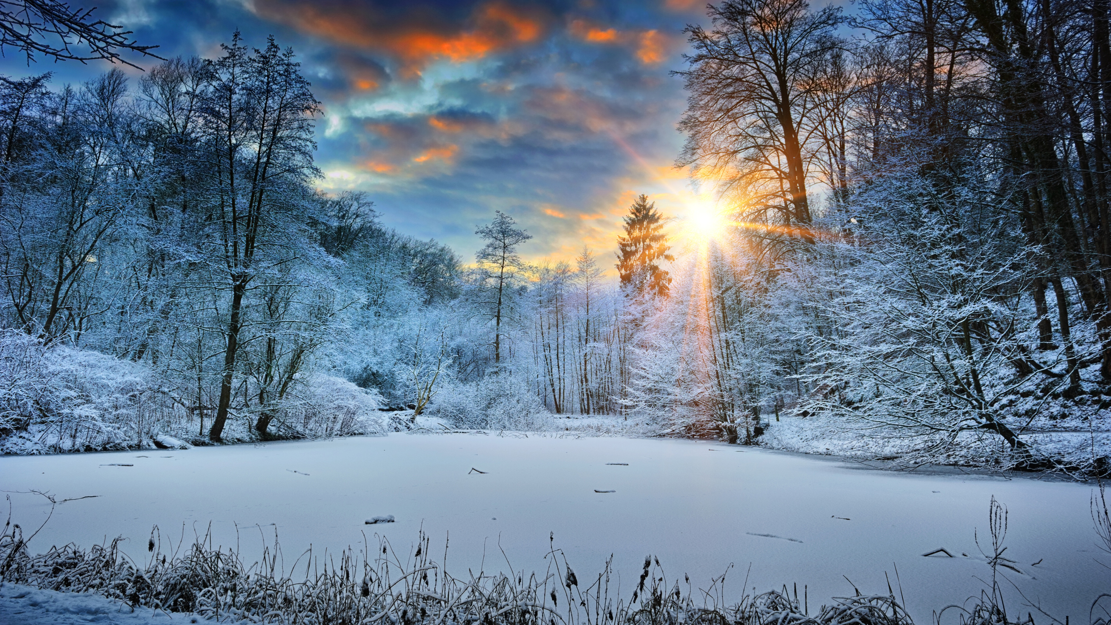 Sunbeams Landscape Snow In Winter Trees 4k