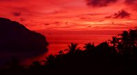 sunset sky tree dusk landscape 4k 1540144559 200x110 - Sunset Sky Tree Dusk Landscape 4k - tree wallpapers, sky wallpapers, nature wallpapers, landscape wallpapers, hd-wallpapers, dusk wallpapers, 4k-wallpapers