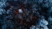 the red ice forest 4k 1540132672 200x110 - The Red Ice Forest 4k - winter wallpapers, red wallpapers, photography wallpapers, ice wallpapers, forest wallpapers, 4k-wallpapers