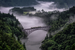 train going over bridge surrounded by trees and river 4k 1540133969 300x200 - Train Going Over Bridge Surrounded By Trees And River 4k - trees wallpapers, train wallpapers, river wallpapers, nature wallpapers, hd-wallpapers, fog wallpapers, 5k wallpapers, 4k-wallpapers
