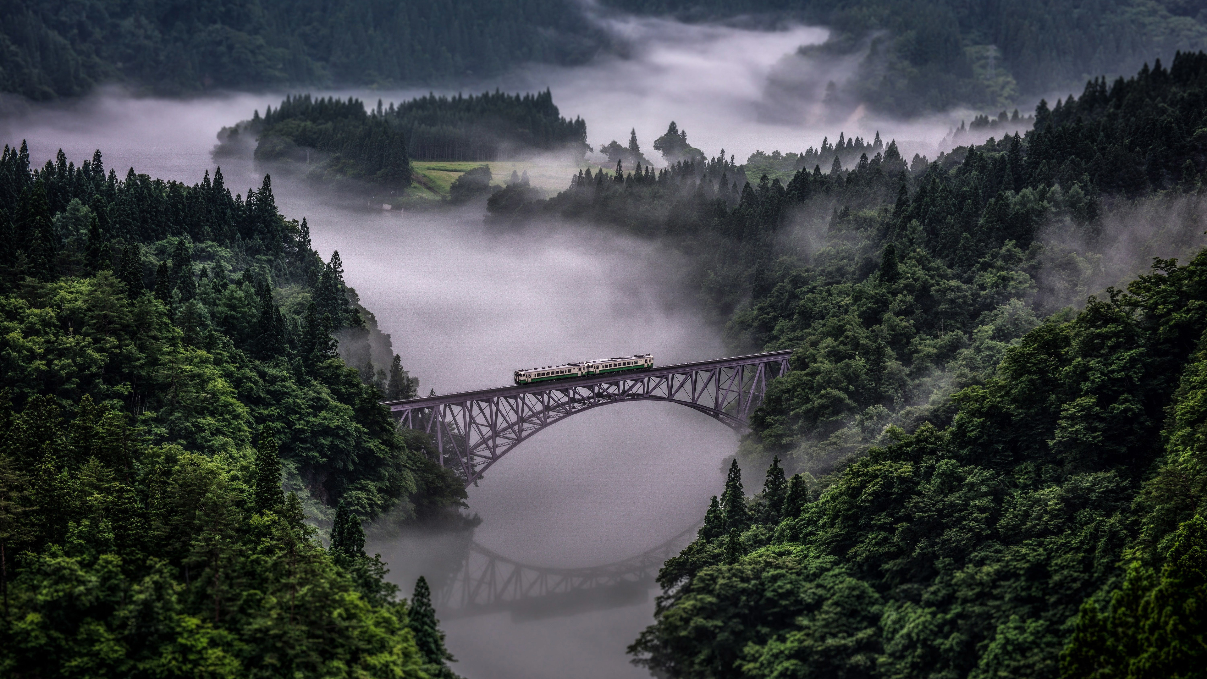 Wallpaper 4k Train Going Over Bridge Surrounded By Trees And River 4k  Wallpaper