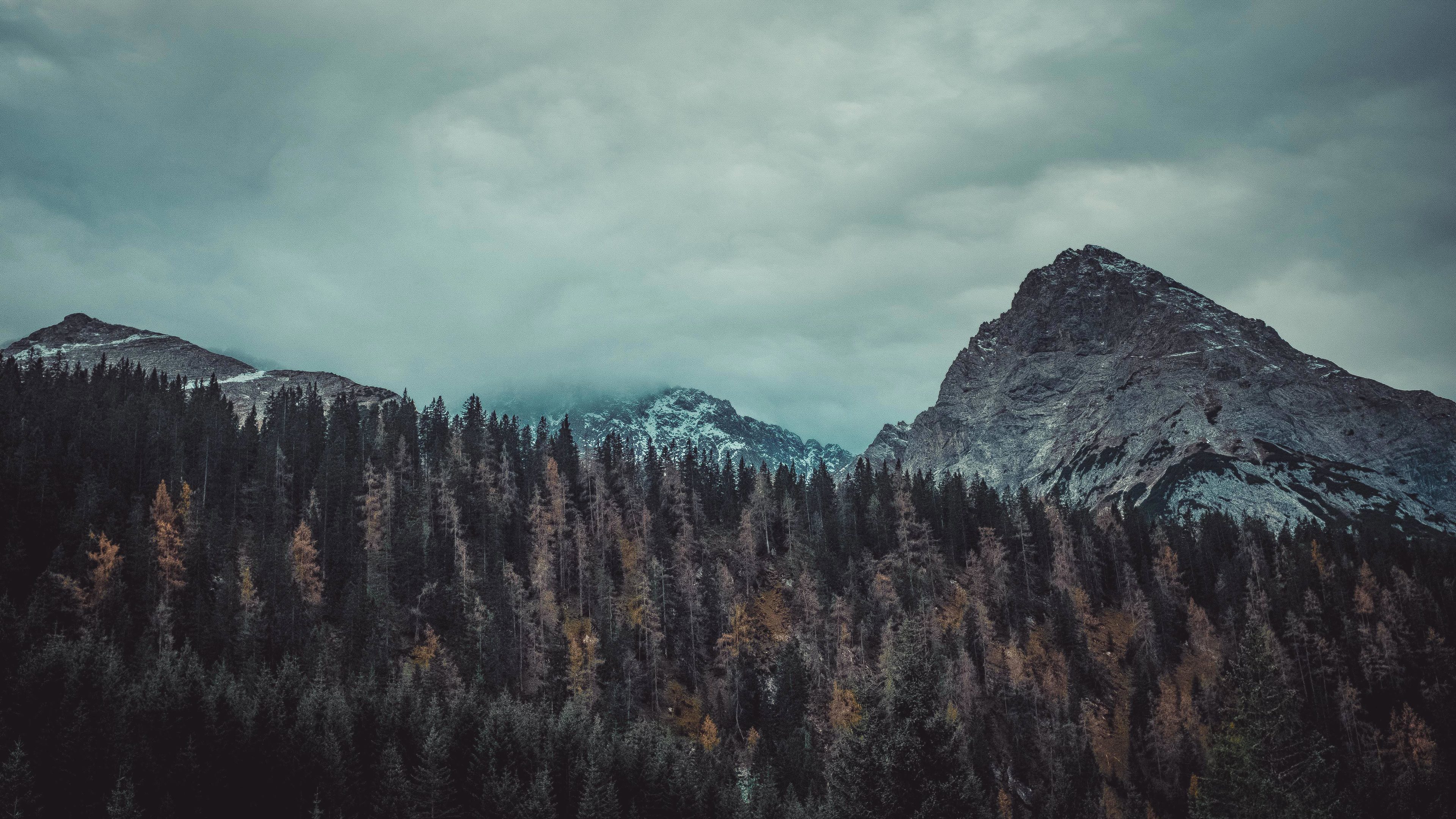 Trees And Mountains 4k Trees Wallpapers Nature Wallpapers Mountains
