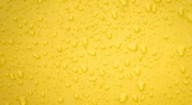 water drops yellow surface back 4k 1540134574 272x150 - Water Drops Yellow Surface Back 4k - water wallpapers, hd-wallpapers, drops wallpapers, 4k-wallpapers