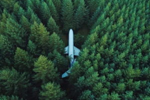 airplane trees top view 4k 1541115831 300x200 - airplane, trees, top view 4k - Trees, top view, Airplane
