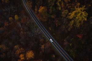 auto road view from above trees 4k 1541114286 300x200 - auto, road, view from above, trees 4k - view from above, Road, auto