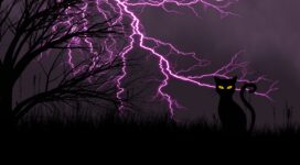 black cat lightning art grass night 4k 1541971587 272x150 - black cat, lightning, art, grass, night 4k - Lightning, black cat, art