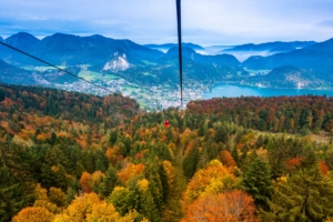 cable car view from above trees mountains autumn 4k 1541117256 300x200 - cable car, view from above, trees, mountains, autumn 4k - view from above, Trees, cable car