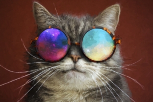 cat glasses party cool painting 1542238776 300x200 - Cat Glasses Party Cool Painting - painting wallpapers, hd-wallpapers, digital art wallpapers, cat wallpapers, artwork wallpapers, artist wallpapers, animals wallpapers, 4k-wallpapers