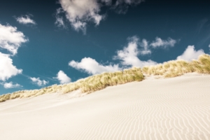 desert sand layers new zealand 4k 1541113685 300x200 - desert, sand, layers, new zealand 4k - Sand, Layers, Desert