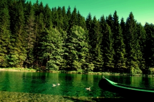forest river boat nature 4k 1541117354 300x200 - forest, river, boat, nature 4k - River, Forest, Boat
