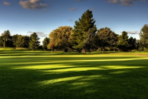 lawn field golf trees 4k 1541114446 300x200 - lawn, field, golf, trees 4k - lawn, golf, Field