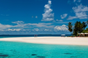 maldives tropical beach 4k 1541116102 300x200 - maldives, tropical, beach 4k - Tropical, Maldives, Beach