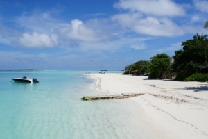 maldives tropical beach shore 4k 1541117895 300x200 - maldives, tropical, beach, shore 4k - Tropical, Maldives, Beach