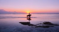 man horse silhouettes ocean coast gili trawangan indonesia 4k 1541115415 200x110 - man, horse, silhouettes, ocean, coast, gili trawangan, indonesia 4k - silhouettes, Man, horse