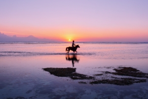 man horse silhouettes ocean coast gili trawangan indonesia 4k 1541115415 300x200 - man, horse, silhouettes, ocean, coast, gili trawangan, indonesia 4k - silhouettes, Man, horse