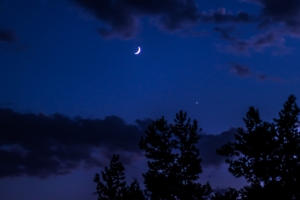 night moon sky clouds trees 4k 1541113737 300x200 - night, moon, sky, clouds, trees 4k - Sky, Night, Moon