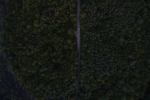 road trees aerial view forest 4k 1541115777 300x200 - road, trees, aerial view, forest 4k - Trees, Road, aerial view