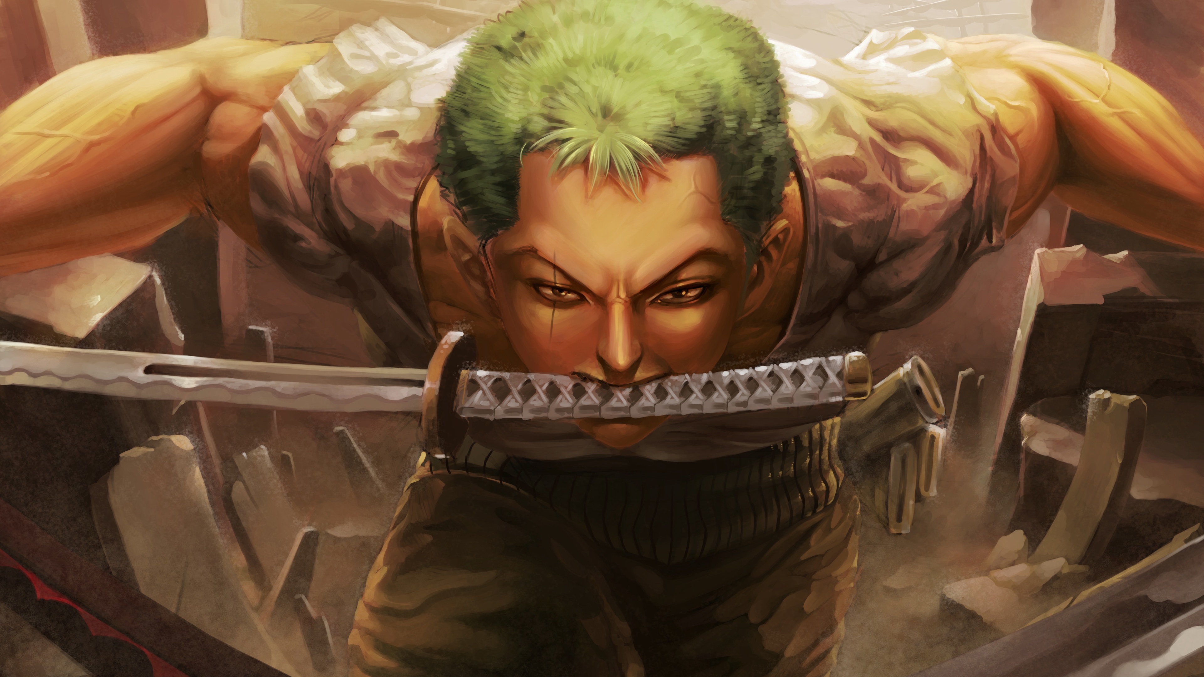 1355975 One Piece 4K Roronoa Zoro  Rare Gallery HD Wallpapers