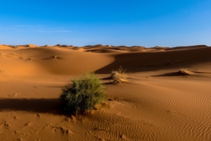 sahara desert sand sky 4k 1541116603 300x200 - sahara, desert, sand, sky 4k - Sand, Sahara, Desert