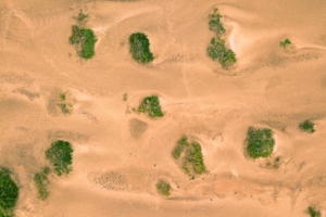 sand desert dunes vegetation 4k 1541115461 300x200 - sand, desert, dunes, vegetation 4k - Sand, Dunes, Desert