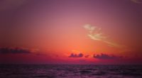 sea horizon sunset waves 4k 1541117178 200x110 - sea, horizon, sunset, waves 4k - sunset, Sea, Horizon