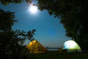 tents camping trees 4k 1541114033 300x200 - tents, camping, trees 4k - Trees, tents, Camping